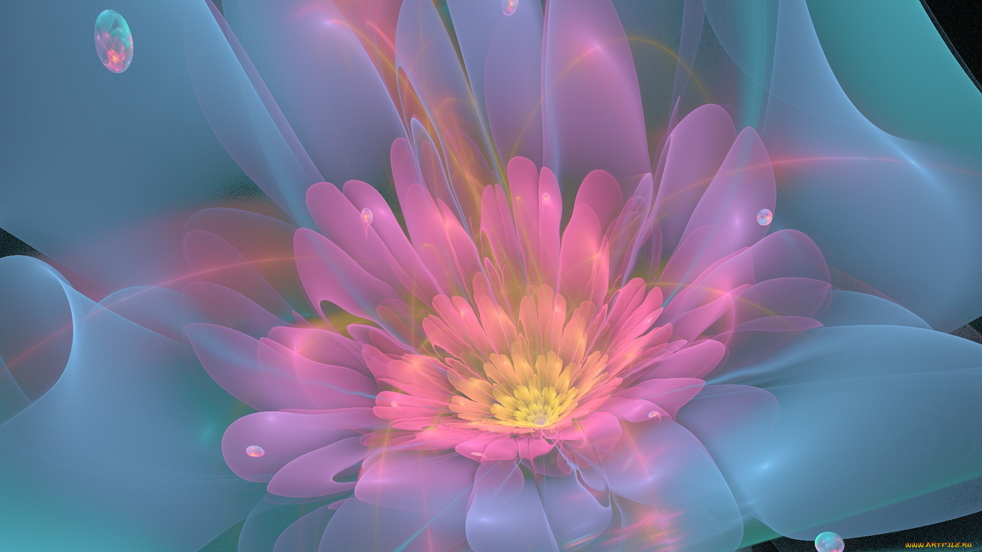 3 ,  , flowers, , , , , 